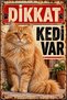 Caution Cat Is Present Long-Haired Sarman Cat Retro Metal Wall Decorative Warning Sign 30X40 cm