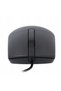 Mouse MS116 - 6
