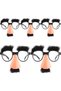 5 Pcs Funny Glasses with Big Nose Eyebrows and Mustache, Disguise Glasses, Perfect Party Favors, Suitable for parties, funny photos