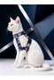 Cat Collar H Type Adjustable Chest and Strap Set