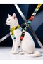 Cat Collar H Type Adjustable Chest and Strap Set