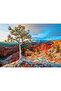 Winter Sunrise, 1000-Piece Jigsaw Puzzle - 3