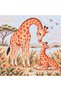 Panel Patterned Baby Blanket Double Layer Interlock 100% Cotton 85X85 cm - 5