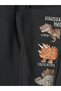 Dinosaur Printed Boys' Set - 8