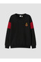 Rmz Gi̇yi̇m Farki̇ly Licensed Embroidered Boys' Thick Sweatshirt