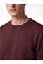 Zero Roba Collar Men's Thick Sweatshirt from Uzg Store for Style Enthusiasts - 4