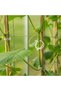 Plant Vine Clip, 1 PC - 2