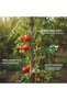 Plant Vine Clip, 1 PC - 4