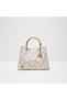 Carena Ladies White Satchel Bag