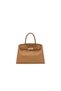 Lemercier Ladies Brown Satchel Bag