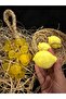 Limon sabun - 3