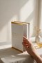 Gold Detailed Coco Design Decorative Book Box Storage Box Home and Office Accessory - 2