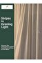 Silver Glitter Cordone Striped Tulle Off-White 1/3 Dense Pleats - 5