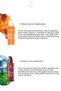 Vitamin C Serum + Plumping Serum – Skin Tone and Firmness Enhancing Set of 2 - 3