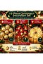 3-Piece Christmas Tree Ornament Set 12-Piece Gold Pine Tree Balls 12-Piece Pine Tree Bells 10-Meter Fairy Led Light - 2