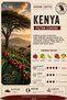Brazil, Kenya and Premium Blend Filter Coffee Set 3X250 g Total 750 g Ground Medium Roast - 4