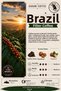 Two Continents Selection Filter Coffee Set 4X250 g Total 1000 g Ground Medium Roast 100% Arabica - 3