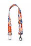Spring Pet Dog Car Safety Belt
