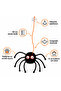 Spider Cat Toy |   Rattling Spider Cat Fishing Rod - 4