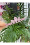 Princess Crown with Stones Girls Children Wedding Henna Crown Pink Color Crown
