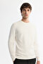 Men's Ecru Crew Neck Jacquard Rayon Non-Pilling Regular Fit Knitwear Sweater A42Y5072 - 4