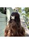Butterfly Hair Clips for Women,Frosted Spray Paint Effect,4 Pcs Set (Brown,White,Pink,Blue) - 8