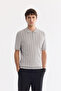 Men's Gray Polo Collar Zippered Rayon Regular Fit Knitwear T-Shirt A61Y5018