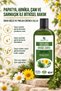 Herbal Shampoo with Chamomile, Arnica, Pine and Ivy, 485 ml - 2