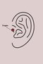 316L Steel Silver Color White Minelik Heart Dangle Zircon Stone Detail Tragus Piercing - 2