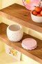 Porcelain Flower Patterned Jar with Silicone Lid Spice Container 750 ml - 3