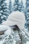 Women's Winter Soft Hat with Earflaps and Ear Muffs - 3