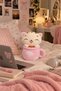Mdl26031252 Cupcat 25 cm Pink - 3