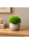 وعاء نباتات اصطناعية