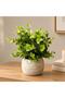 Artificial Plant Pot