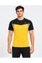 Active Wear Performance Crew Neck T-Shirt