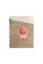 3-Pack Makeup Sponge Holder – Cosmetic Sponge and Beauty Product Organizer - 3
