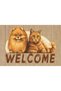 Cat Dog Patterned Door Mat 40 X 60 cm