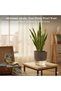 SELF Self Watering Plant Pot Clear Base Indoor Planter- Self-Watering Flower Pot with Cotton Rope Wick