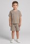Toddlers Boy 2 Pcs Graphic Print T-Shirt And Shorts Set, Tan