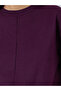 Purple Regular Fit Regular Length Plain Sweatshirt - 3