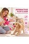 Flamingo Dog Toy 30cm, Plush Squeaky Toy with Rope Legs for Puppies - 3