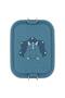 Mr.Triceratops Boy's Small Size Food Container 59-228