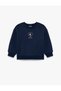 Raised Long Sleeve Crew Neck Sweatshirt with Floral Embroidery - 3