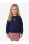 Raised Long Sleeve Crew Neck Sweatshirt with Floral Embroidery - 2