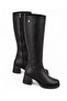 Heeled Plain Women's Boots Black Leather
