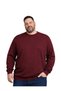 Burgundy Crew Neck Knitwear Plus Size Men's Sweater