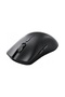 Mouse Model O 2 Pro - 2