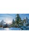 Planet Zoo Arctic Pack DLC PC Steam Key - 7