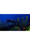 Ecosystem PC Steam Key - 7
