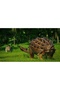 Jurassic World Evolution Sanctuarul Claire Cheie Steam PC - 5